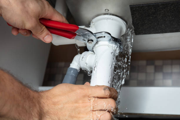 Best Water damage restoration services  in Eastwood, MI