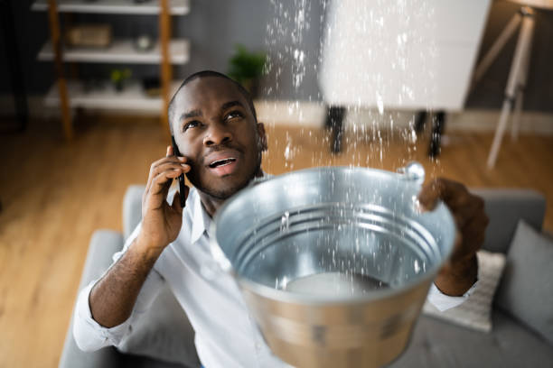 Best Water damage restoration experts  in Eastwood, MI