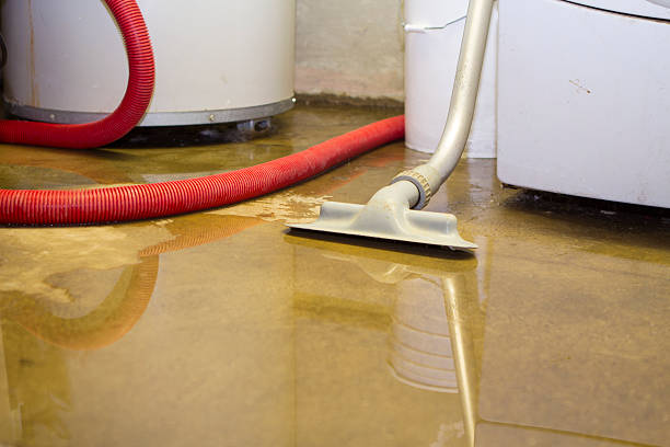 Eastwood, MI Water damage restoration Company
